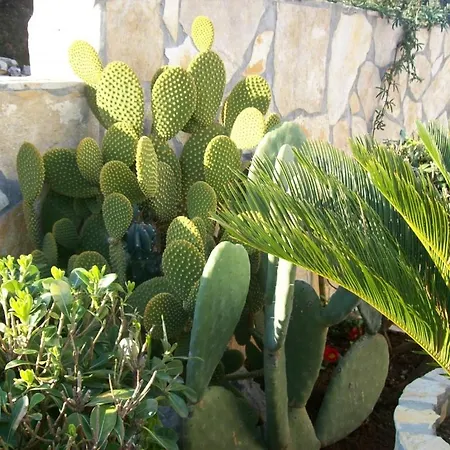 In With Balcony, Air Condition, Wifi, Washing Machine *